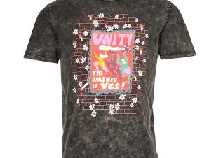 T-shirt με κοντά μανίκια Volcom EGLE ZVIRBLYTE 2 FA SS